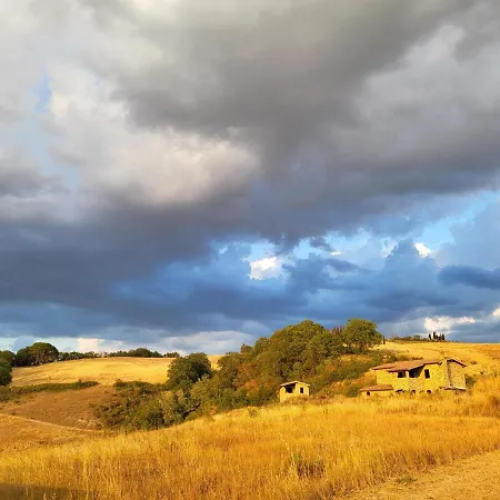 Vergelle * Montalcino
