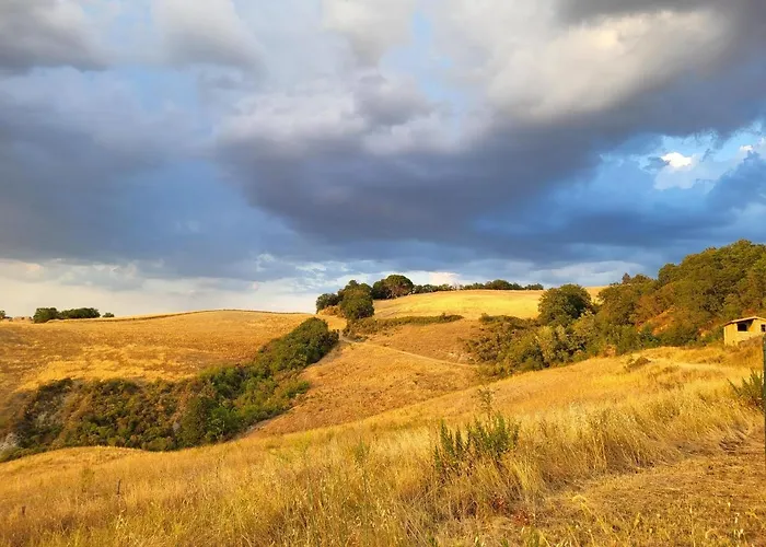 Vergelle 팜스테이